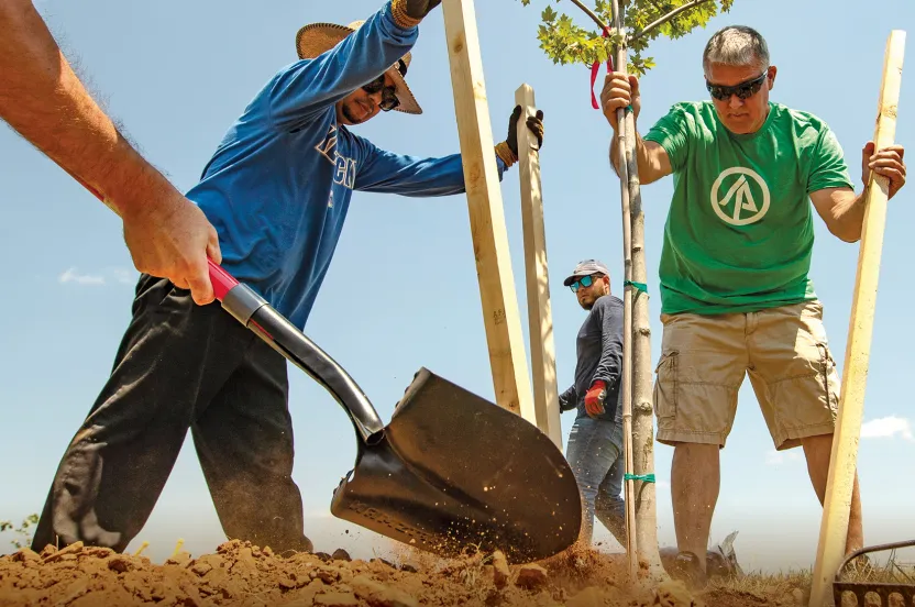 Volunteers plant a tree in Bolwing Green, Kentucky. 