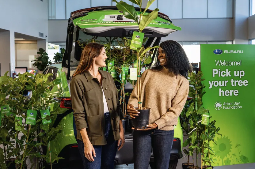 subaru dealership and trees