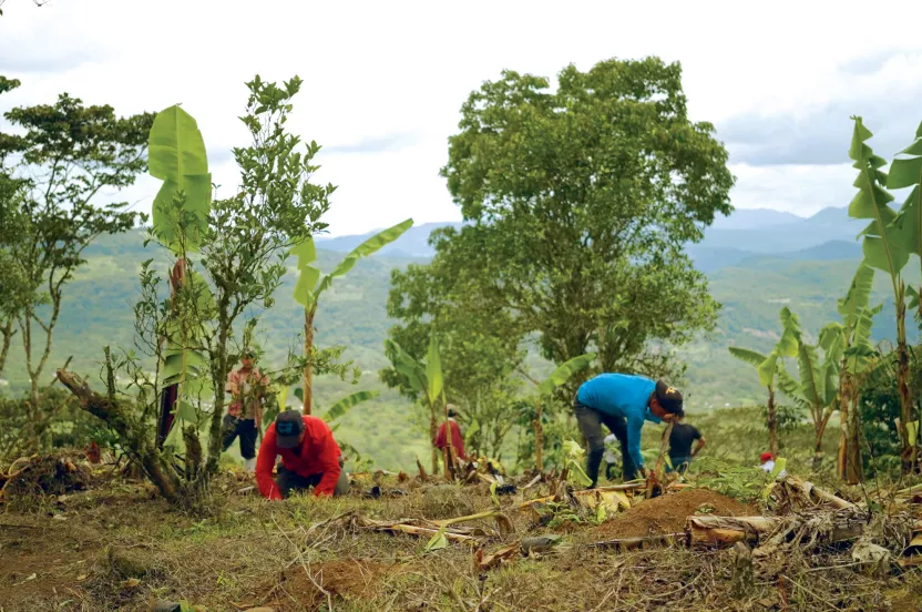 Media Name: TFT-ElectricPeach_Nicaragua_planting-scaled.jpg