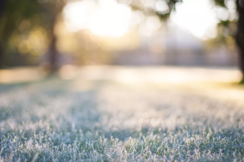 Media Name: frosted-lawn-iStock-603861744.jpg