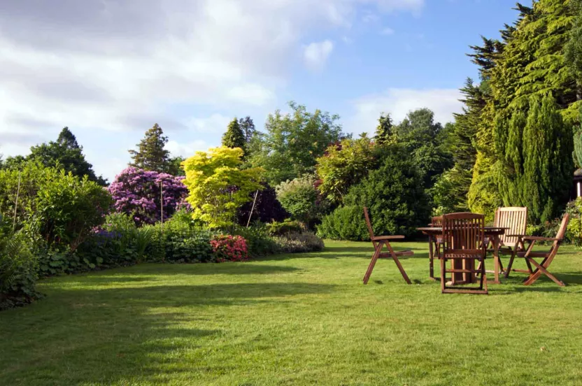 Media Name: hero-big-landscaped-yard-with-furniture.jpg