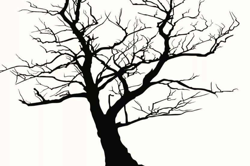 Media Name: illustrated-tree-ftc2-resized-iStock-17889986.jpg