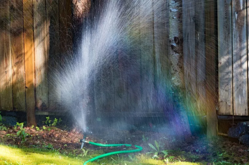 Media Name: sprinkler-tree-iStock-994121770.jpg