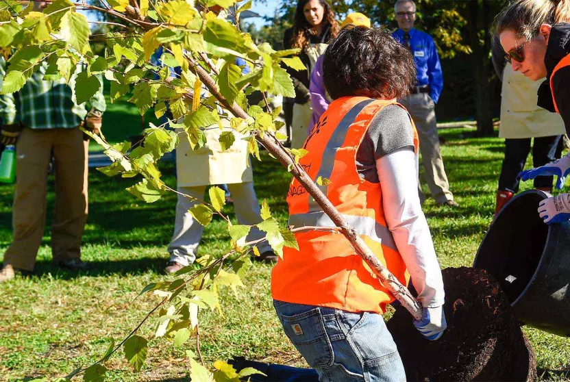 Volunteer planting a potted tree with people looking on in the background.