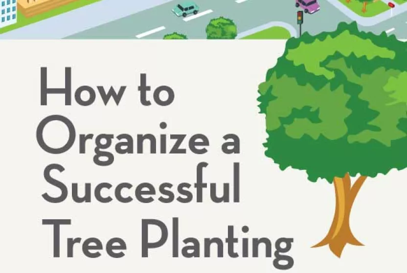 Cover of How to Organize a Successful Tree Planting