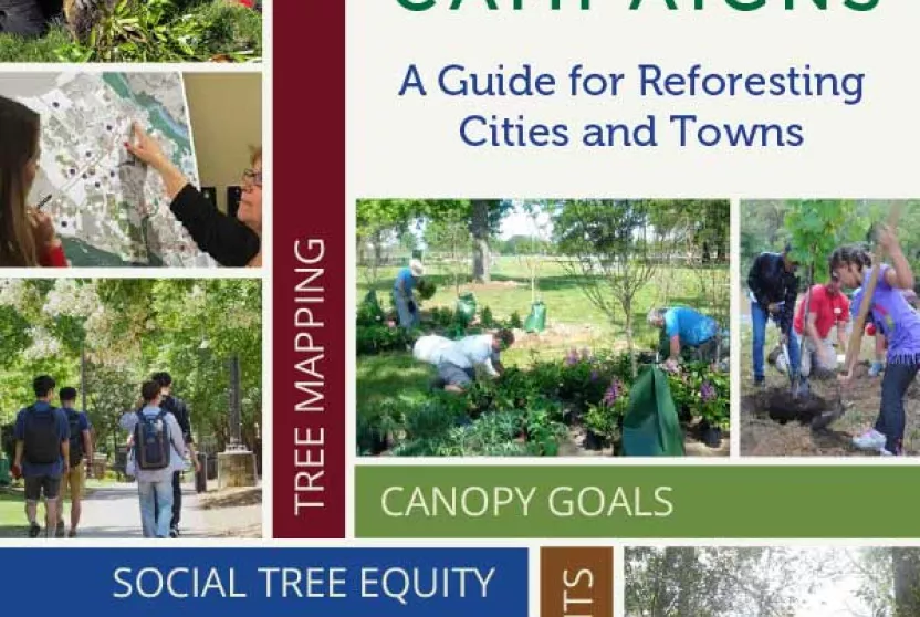 Tree Planning and Planting Campaigns