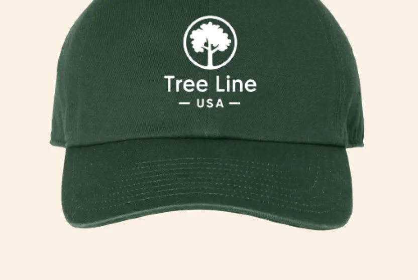 Tree Line USA forest green cap.