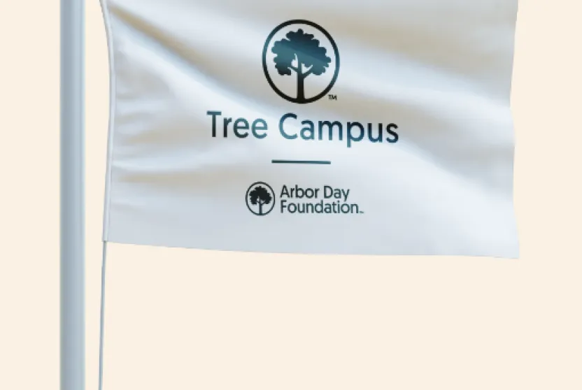 Tree Campus white flag.