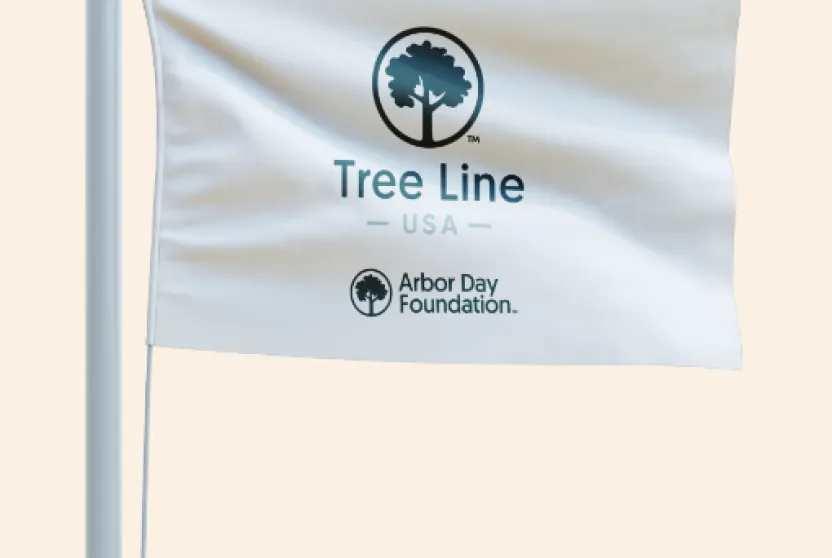 Tree Line USA white flag.