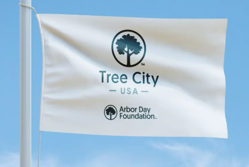 Tree City USA flag