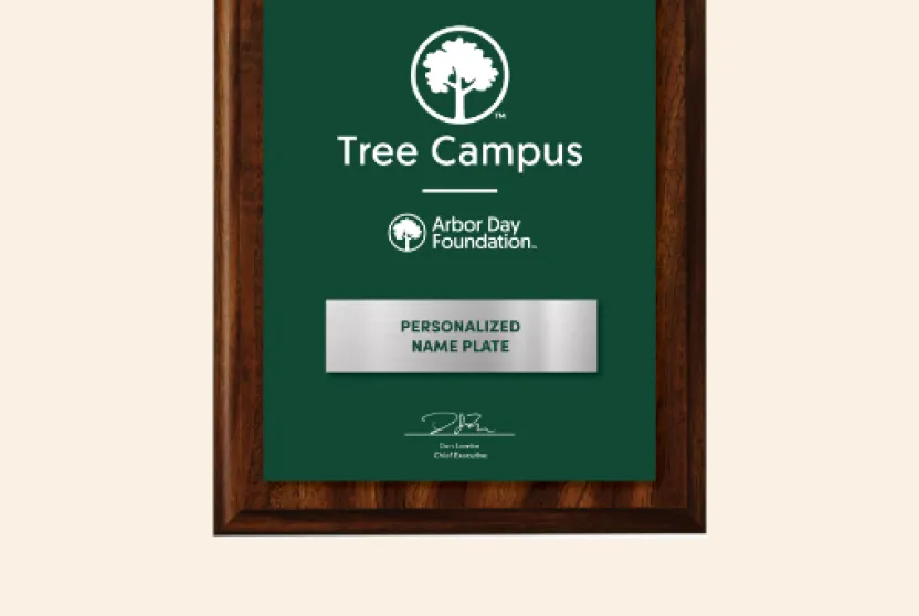 Tree Campus plaque