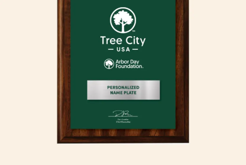 Tree City USA plaque.