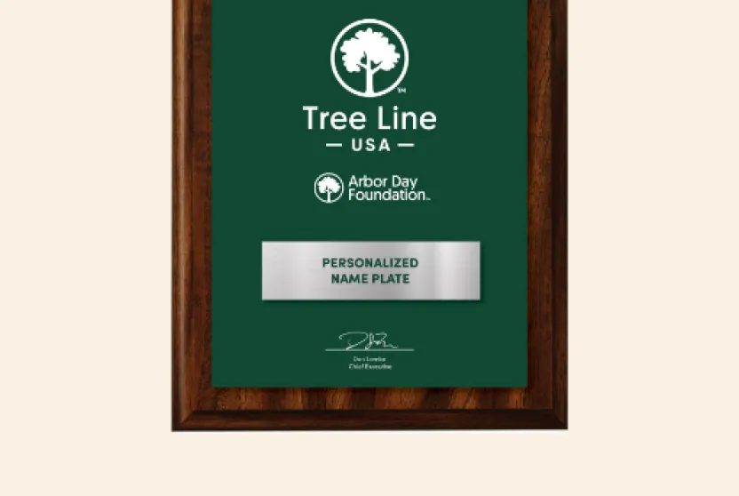 Tree Line USA plaque.