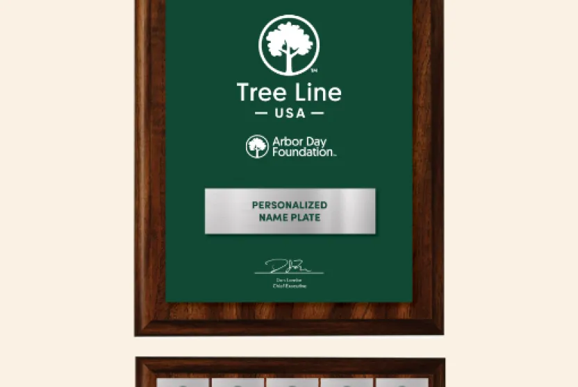 Tree Line USA plaque addition.