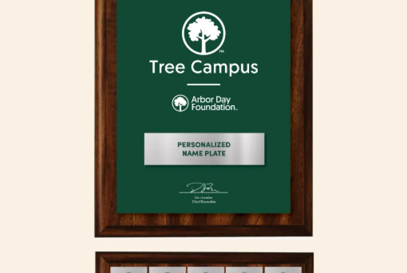 Tree Campus plaque addition.