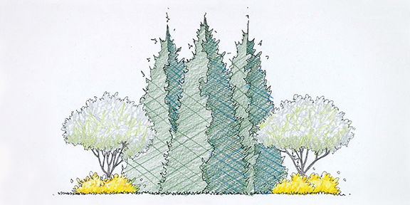 landscape design trees