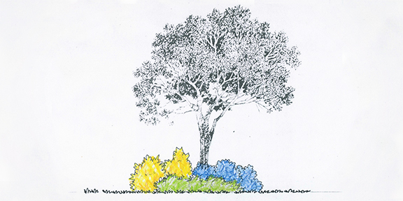 How to Draw a Simple Tree 4 Easy Designs